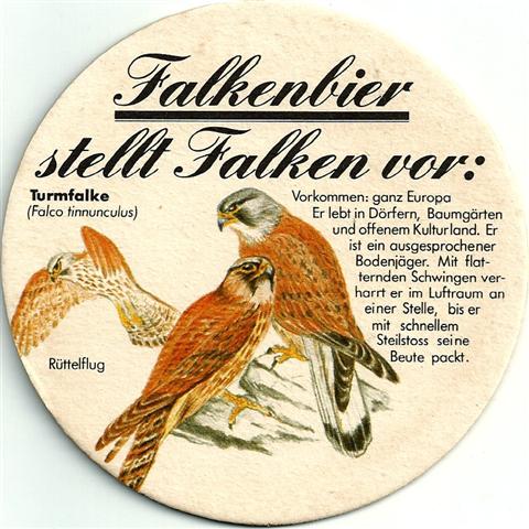 schaffhausen sh-ch falken stellt 2b (rund200-turmfalke) 